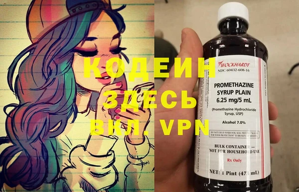 гидра Абаза