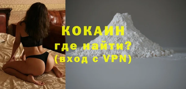 гидра Абаза