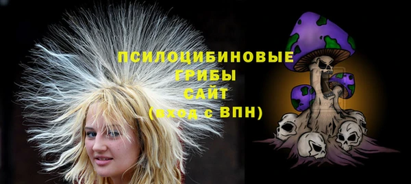 тгк Абдулино